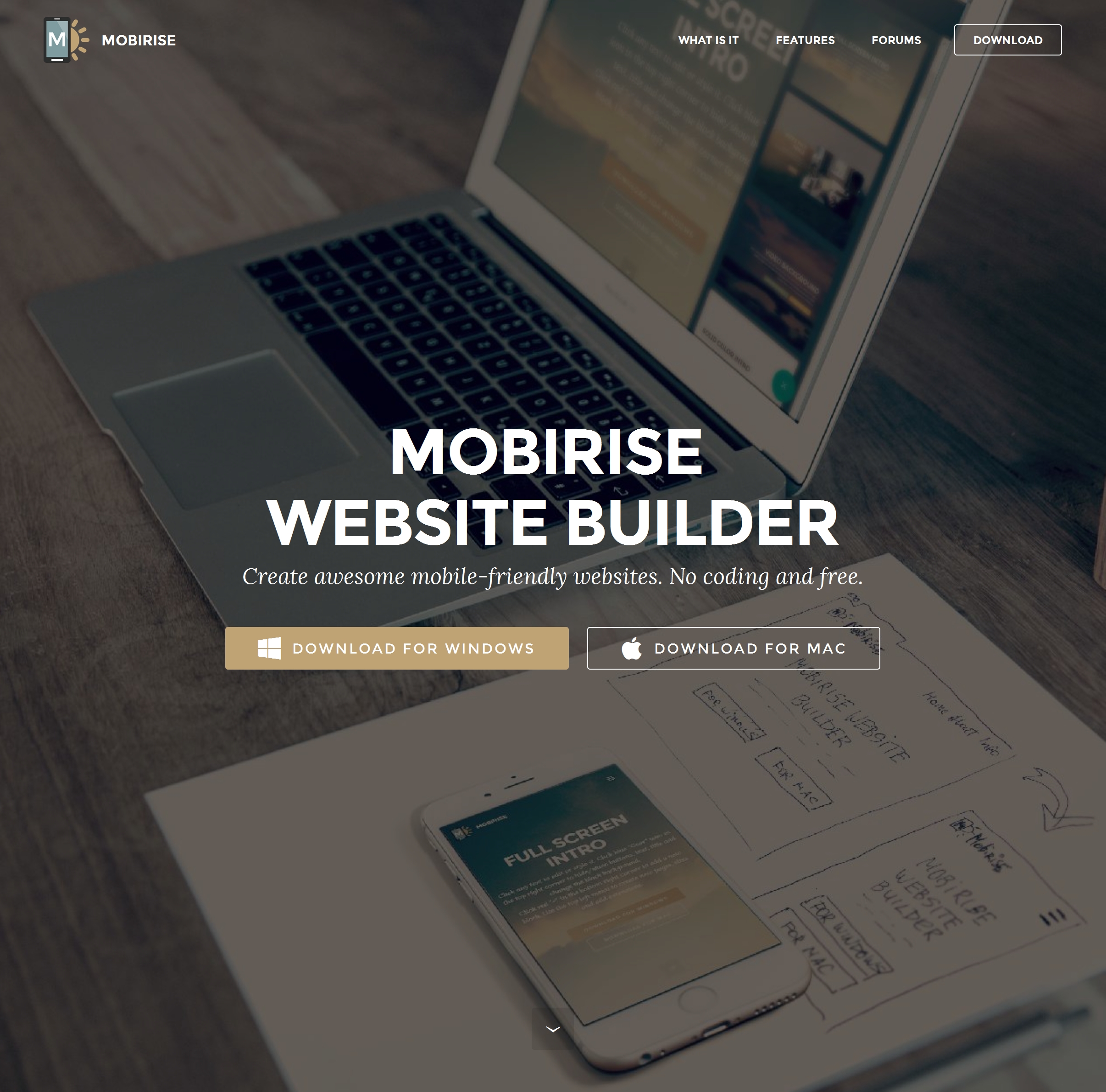 Best  Website Builder 